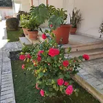 Villino Matilde 아파트