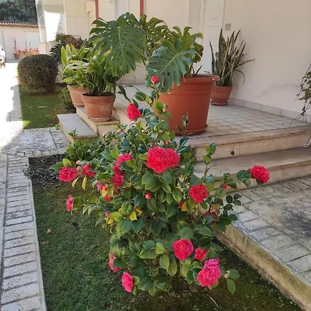 Villino Matilde Apartment