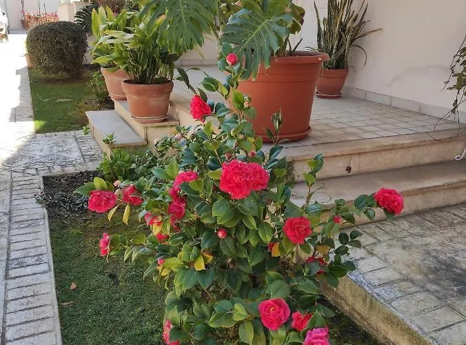 Villino Matilde Apartament